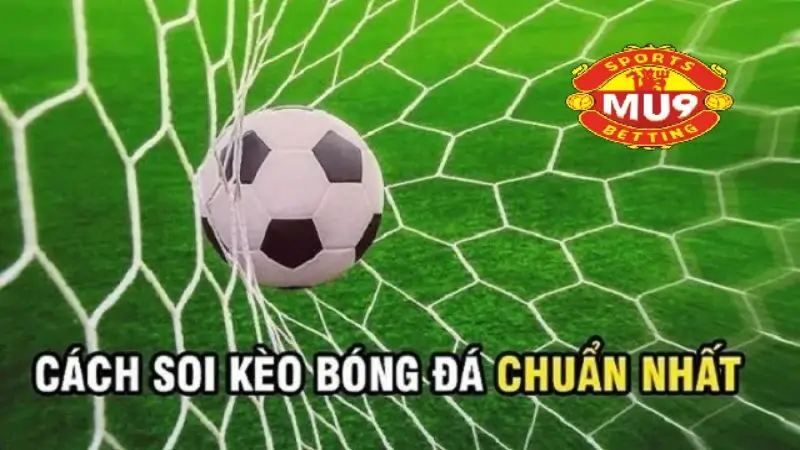 Cách soi kèo chuẩn nhất